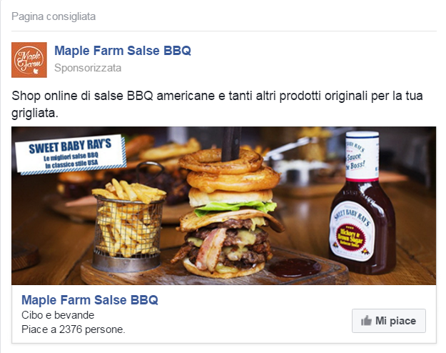 Le campagne realizzate